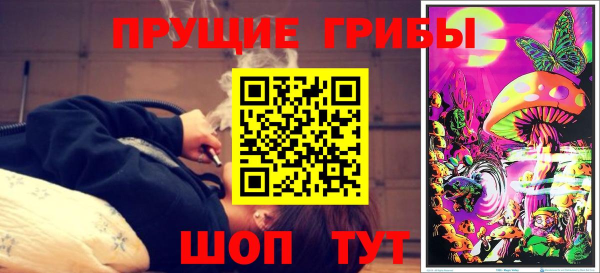 Псилоцибиновые грибы MAGIC MUSHROOMS  Вход с VPN  Сергиев Посад 